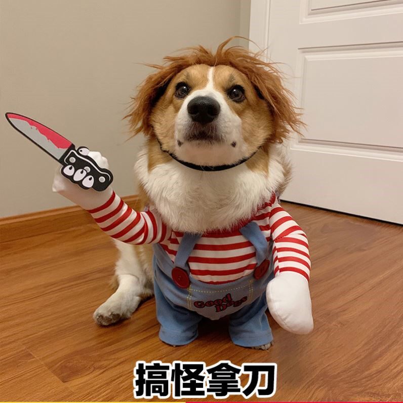 狗狗拿刀衣服搞笑搞怪衣服小狗猎