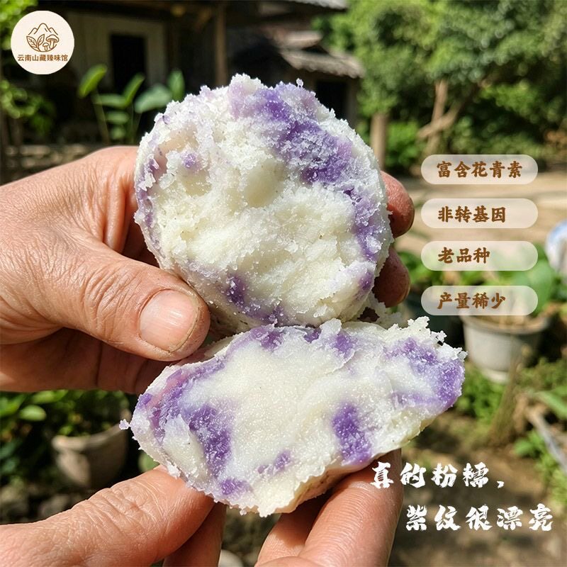 花青素乌洋芋绵密软糯紫皮小土豆