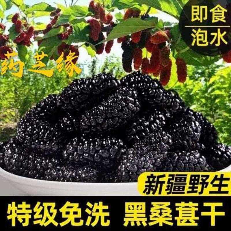 桑葚干500g黑桑椹免洗泡水喝即食野生桑甚干黑桑葚干茶子新疆