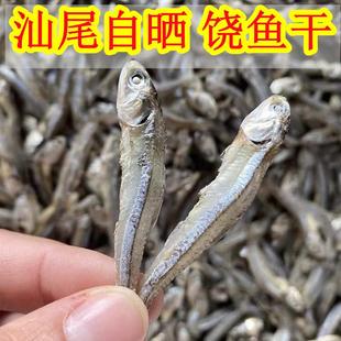 汕尾本港饶鱼干 干 江鱼仔丁香鱼干 干鱼仔小公鱼仔干 干白饭鱼饶