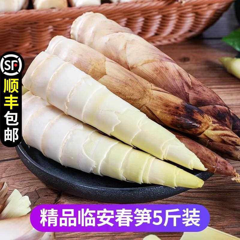 新鲜现挖临安春笋天目山竹笋冬笋雷笋油焖笋农家自种新鲜蔬菜包邮