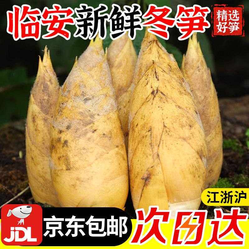 临安冬笋新鲜现挖浙江天目山野生毛竹笋春笋10鲜笋5斤黄泥笋
