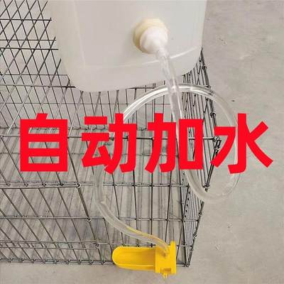 养殖饮水器全自动水碗水满自停水槽家用鸡鸭鹌鹑鸽子鸟宠物喝水小