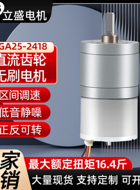 立盛GA25-2418微型直流无刷减速电机低速调速正反转12v24v马达