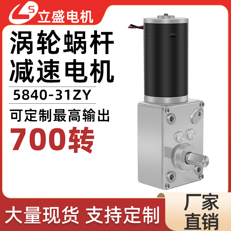 立盛5840-31ZY微型直流减速电机涡轮蜗杆自锁调速慢速马达12V24V