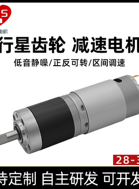 立盛外径28mm直流行星有刷减速电机 正反转调速395高速马达12V24V