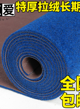 贞爱庆典蓝色地毯果绿色加厚舞台商用开业店铺门口长期天蓝色地垫