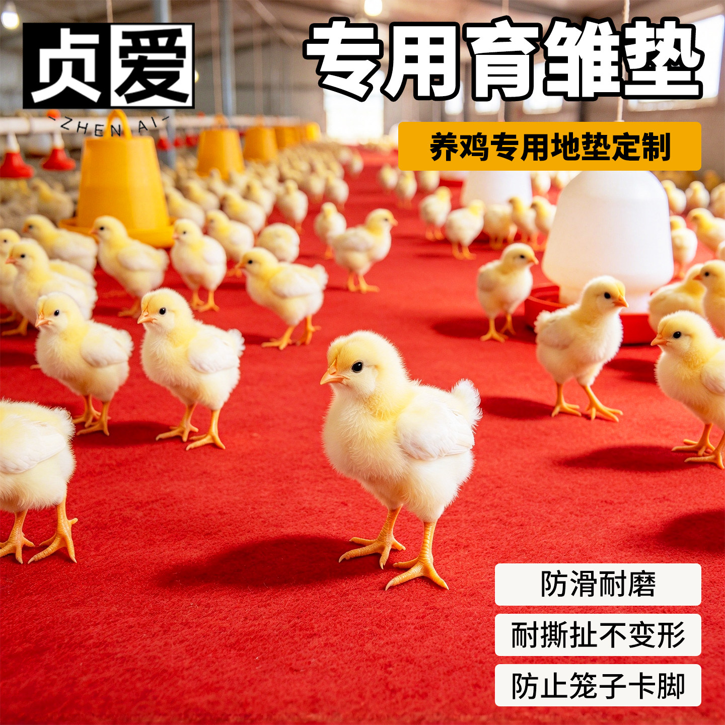 贞爱养鸡育雏垫布粪便垫子芦丁鸡宠物垫养殖地垫一次性无纺布地毯