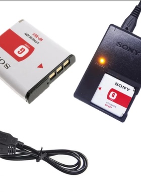 索尼DSC-WX10 HX7 HX9V H70 HX7C照相机NP-BG1电池/充电器/数据线