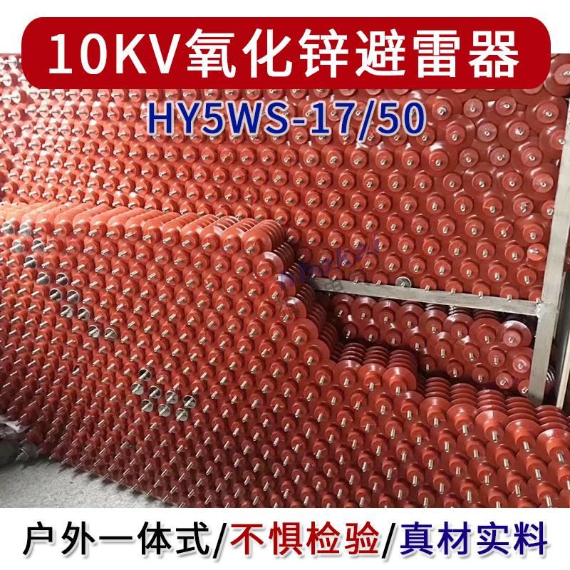 户外一体式10KV氧化锌避雷器 HY5WS-17/50高压防雷器YH5WS-17/50