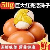 新鲜13天活珠子鸡胚蛋即食凤凰蛋熟钢化蛋红壳大个特大号真空包装