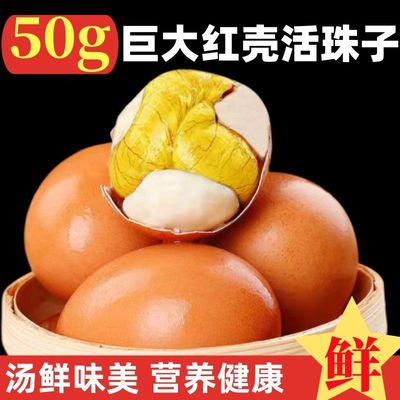 新鲜13天活珠子红壳大个真空包装