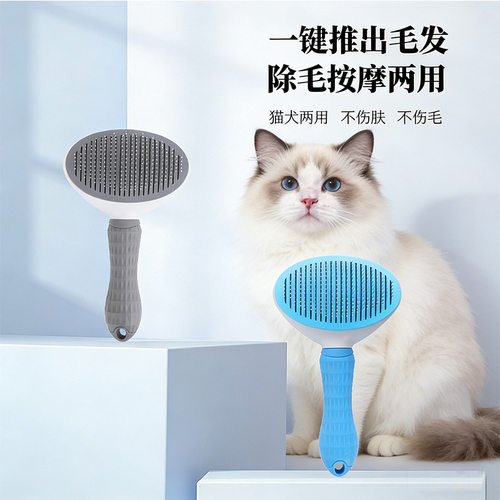 猫狗除毛针梳去浮毛开结按摩