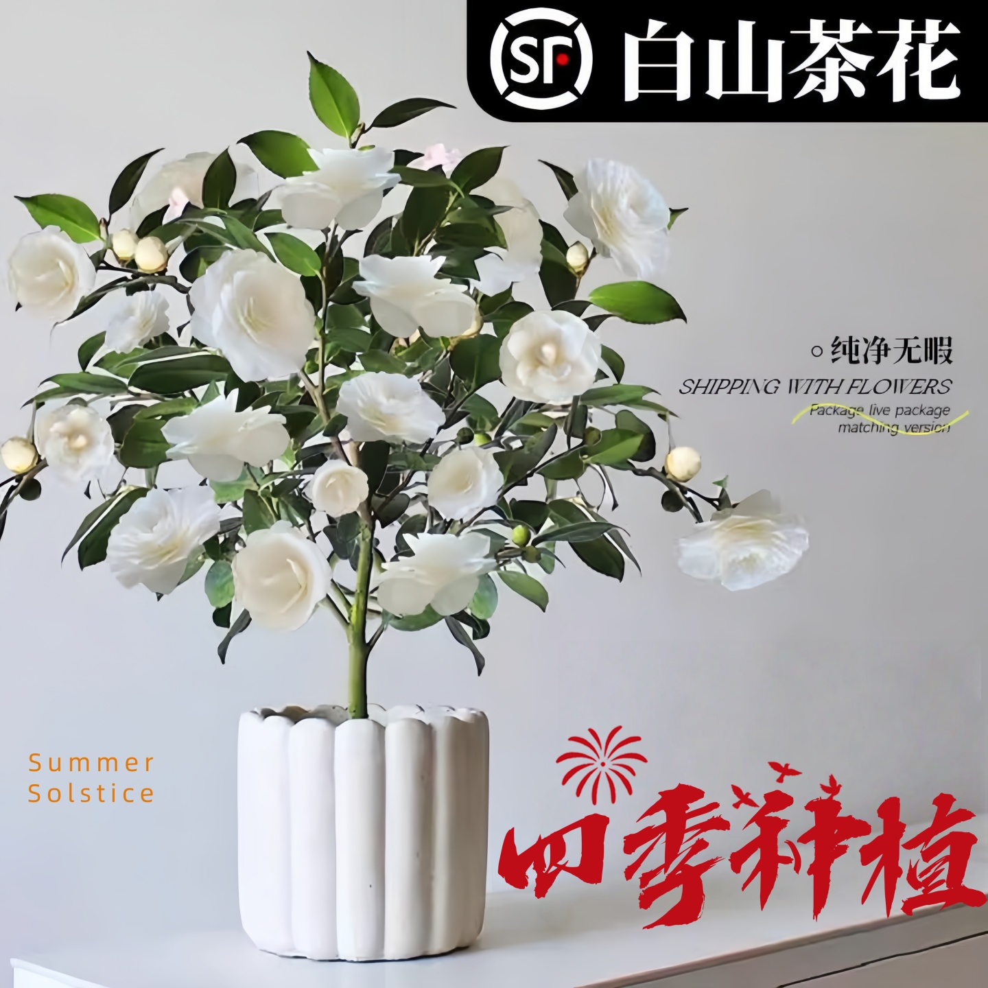 四季种植，品质保证