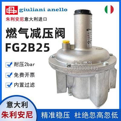 FGDR25 FG1B25 FG2B25意大利giuliani anello瓦斯减压阀稳压阀