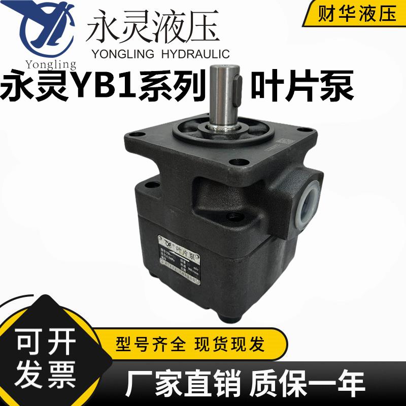 仙居YCL永灵叶片泵YB1-2.5/4/6.3/10/12/16/20/25/40/50/80/100