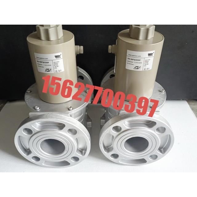 SG40R02NT33 SG50R02NT33 SG65F02NT33 SG80F02NT33 SG100F02