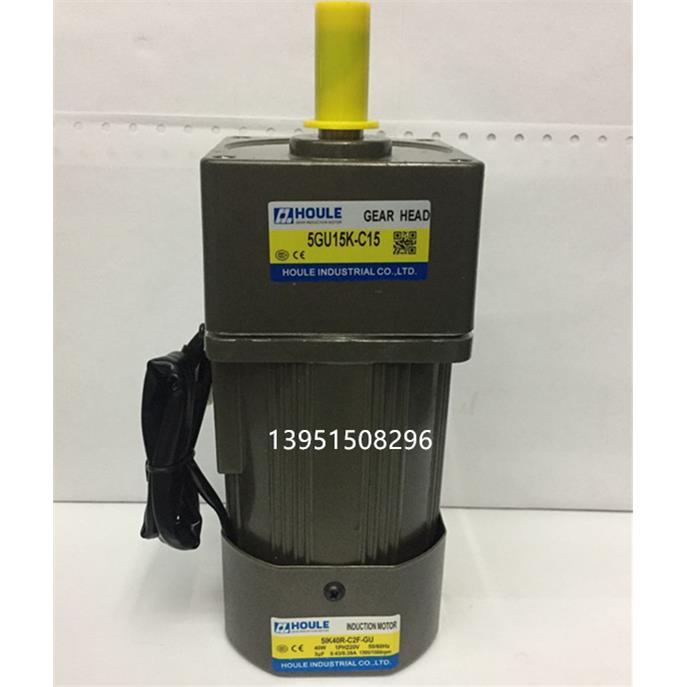 HOULE 交流220V40W纯铜齿轮减速电机/调速电机马达 5IK40R-C2F-GU