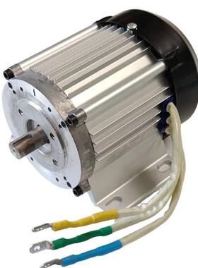 24v1500w直流无刷清洗电机改装19轴2800转安装孔70配控制器预定款