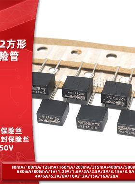 392方形电源保险丝250V慢断T630/500mA 1A1.6A2A3.15A4A5A6.3A10A