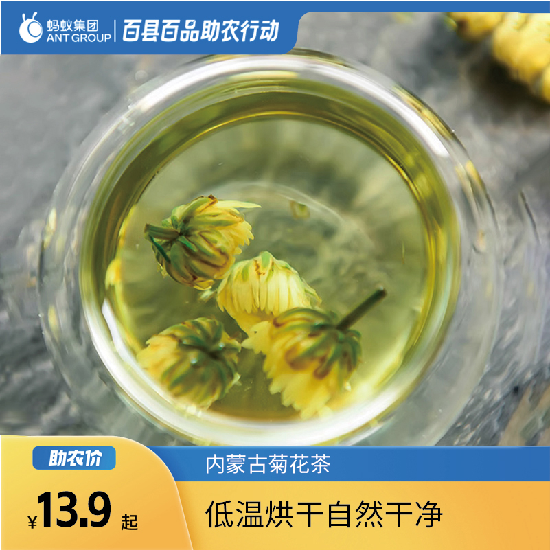 内蒙正宗菊花茶农家菊花茶冲泡