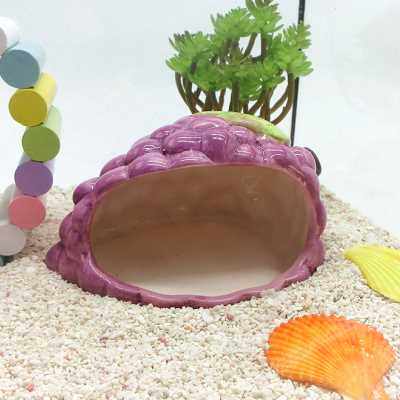 【陶瓷窝】陆地淡水寄居蟹迷你小爬宠物螃蟹 躲避房子屋 降温凉快