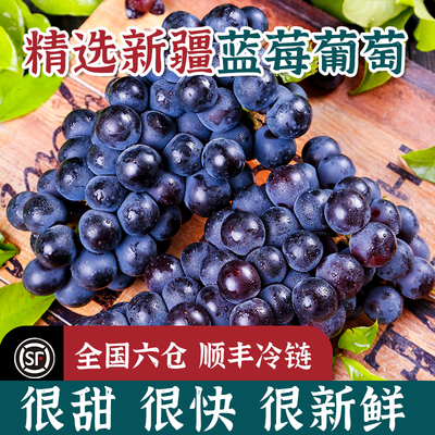 新疆夏黑蓝莓葡萄甜度20+