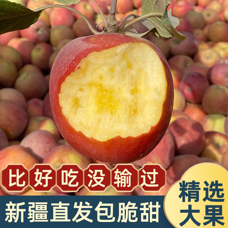新疆阿克苏冰糖心苹果产地直发