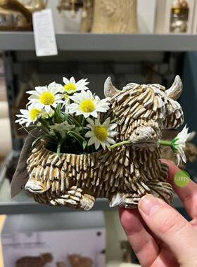 跨境新品创意树脂工艺多肉小花盆高地耗牛庭院花园家居阳台装饰