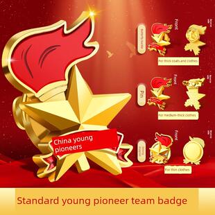 少先队徽别针磁铁标准版新款强磁扣吸磁小学生中国少先队员少先队徽布质胸章收纳盒红领巾胸章礼品B1