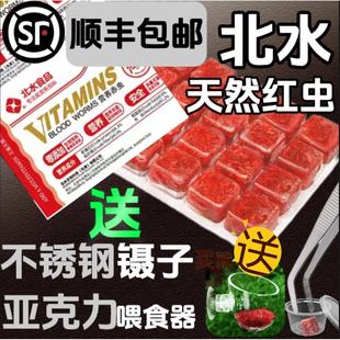 北水冰冻红虫鱼食丰年虾六角恐龙鹦鹉罗汉七彩金鱼热带鱼饲料鱼粮