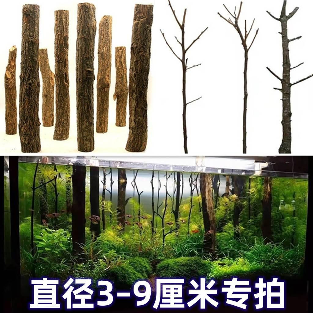 鱼缸沉木森林树干水草造景红杉木雨林缸装饰乌龟缸杜鹃根香槟树枝