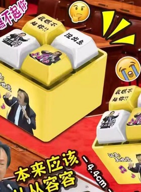 抖音爆款从从容容语录发音发光钥匙扣解压按键朋友趣味搞怪钥匙扣