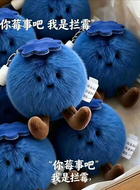 【蓝莓运】拦霉运蓝莓毛绒公仔超可爱玩偶摆件包包挂件钥匙扣挂件