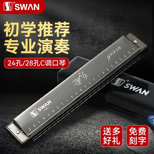 Лебедь, губная гармошка, детская профессиональная практика для начинающих для взрослых, музыкальные инструменты