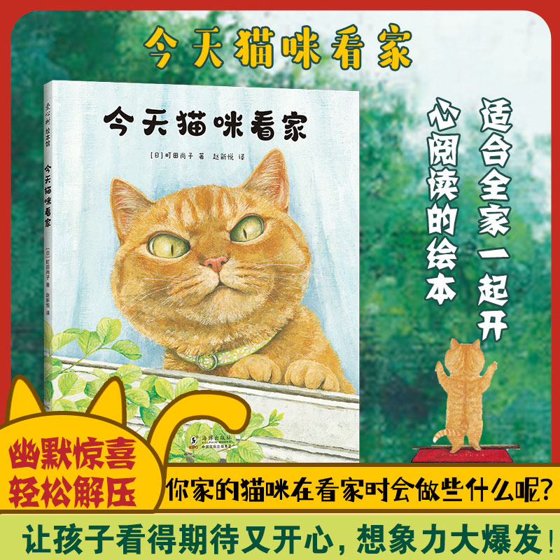 今天猫咪看家