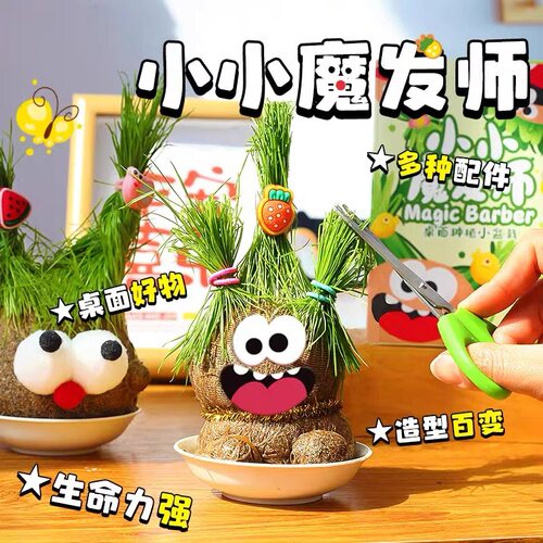 长草娃娃小盆栽室内桌面水培绿植