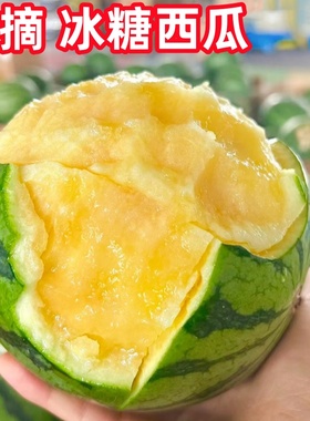 西瓜种籽冰糖麒麟懒汉无籽西瓜四季甜西瓜苗秧早佳8424甜瓜种子孑