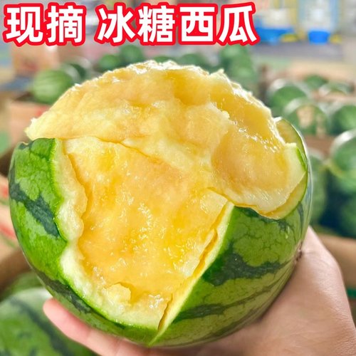 冰糖麒麟西瓜种籽懒汉无四季