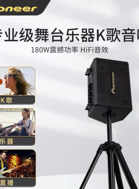 Pioneer先锋专业级户外K歌音箱