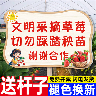草莓采摘园广告牌插地牌文明采摘告示牌采摘园温馨提示牌定制请勿踩踏禁止品尝警示牌种植园警示标语标志立牌