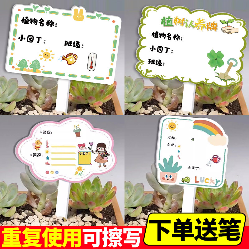卡通植物标签幼儿园花卉盆栽绿植可定制DIY养护卡片标识牌花盆栽绿