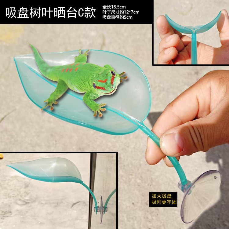 爬宠水族吸盘造景树叶斗鱼休息R属睫角守宫攀爬蜥蜴晒台装饰仿真