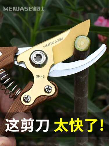 强力园林园艺修枝剪家用省力修花修剪树枝花艺剪刀剪树枝专用剪刀