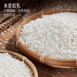 荣帆软糯香粳米500g圆粒小包装 新米煮饭煮粥农垦一级米 珍珠米当季