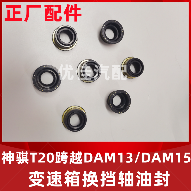 神骐T20跨越DAM13/DAM15换挡油封