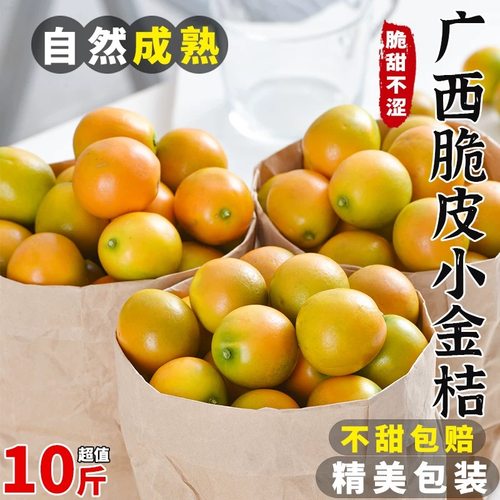 广西新鲜脆皮小金桔新鲜老农种植桔子应当季水果蜜金柑整箱包邮10
