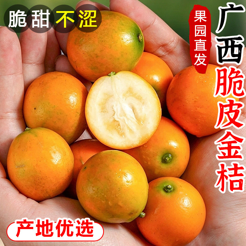 广西脆皮小金桔5斤新鲜水果当季滑3皮融安整箱包邮孕妇脆5蜜金柑