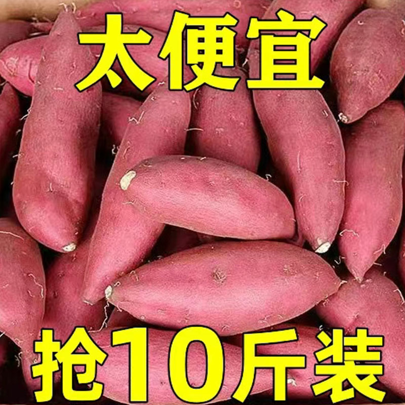 现挖沙地蜜薯农家糖心板栗新鲜农家番薯地瓜新鲜红薯10斤黄心山芋