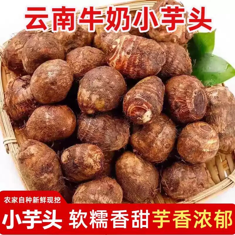 云南牛奶芋头小香芋头新鲜粉糯农家自种毛芋头芋艿芋圆现挖货子芋